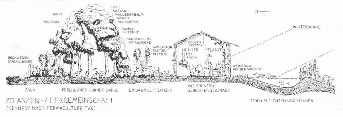 Pflanzen und Tiergemeinschaft